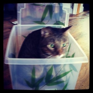 9067fbd68e6411e1989612313815112c_7-1