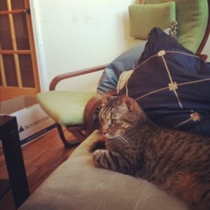 ded87cb0889611e1989612313815112c_6